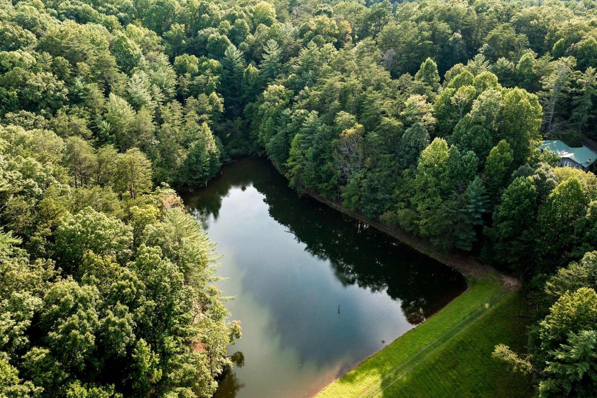 Lakeside Retreat Hot Tub Fishing Hiking Елліджей Екстер'єр фото